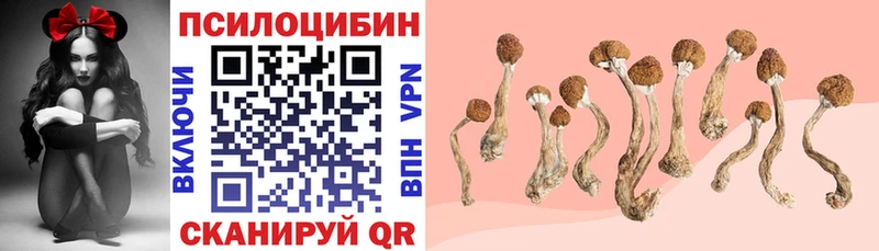 Псилоцибиновые грибы MAGIC MUSHROOMS  сколько стоит  Обоянь 
